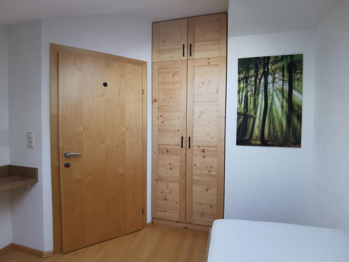 Apartament Haus Viktoria Mayrhofen Zewnętrze zdjęcie