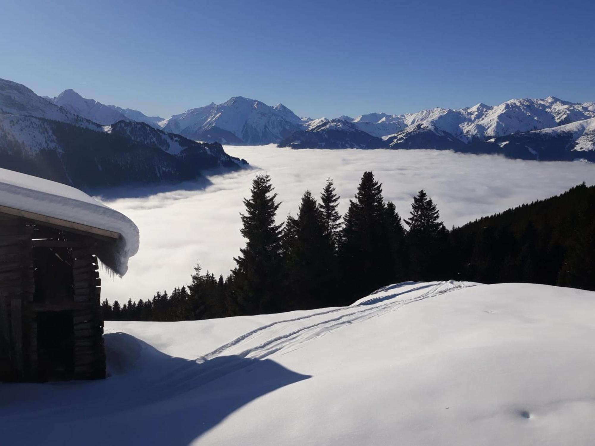Apartament Haus Viktoria Mayrhofen Zewnętrze zdjęcie